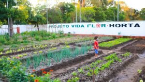 Projeto Vida Flor realiza mais uma colheita na ADUFPI