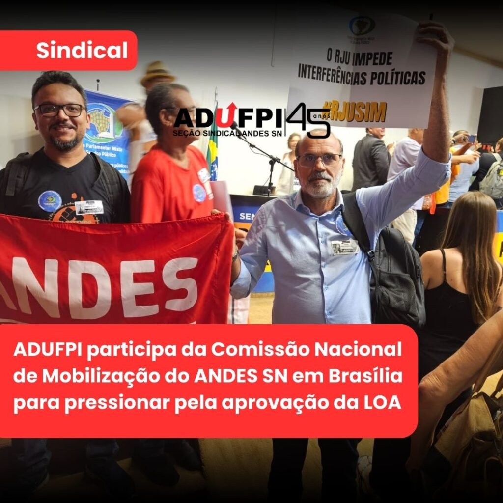 ADUFPI participa da Comissão Nacional de Mobilização do ANDES SN em Brasília para pressionar pela aprovação da LOA